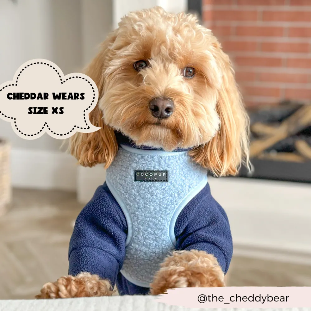 Cocopup Adjustable Neck Harnesses-Teddy Adjustable Neck HARNESS - Daydream