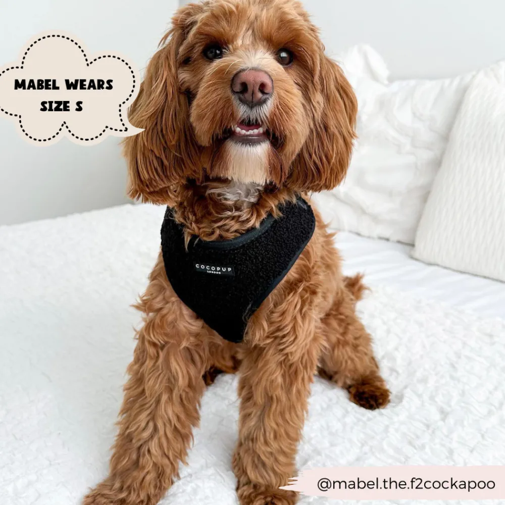 Cocopup Adjustable Harness Bundles-Teddy Baloo Adjustable Neck Harness, Lead & Collar Bundle