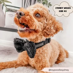 Cocopup Adjustable Harness Bundles-Teddy Baloo Adjustable Neck Harness, Lead & Collar Bundle