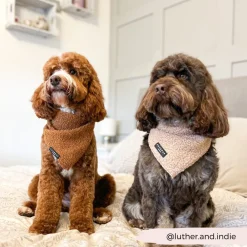 Cocopup Bandanas-Teddy Bandana - Paddington