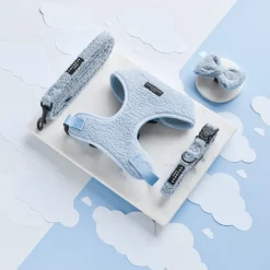 Cocopup Bow Ties-Teddy Bow Tie - Daydream