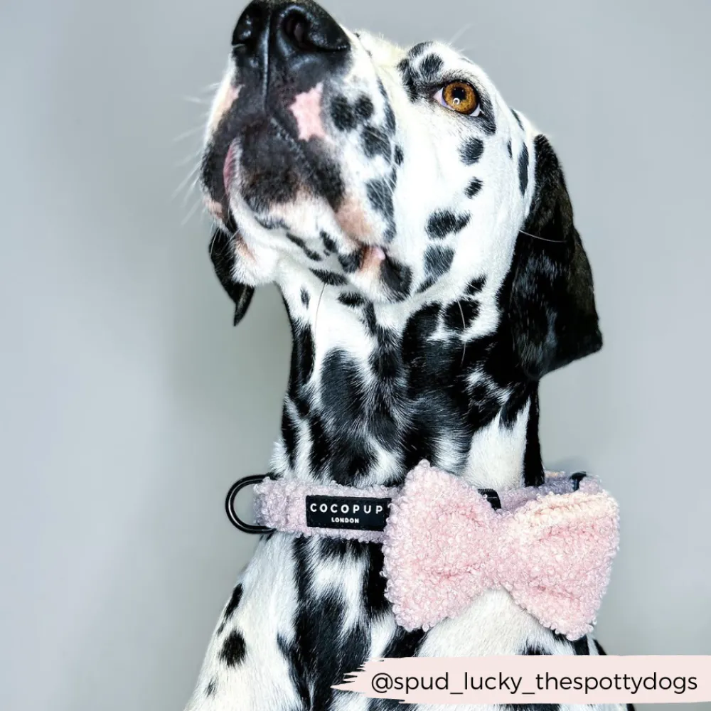 Cocopup Bow Ties-Teddy Bow Tie - Love-a-Lot