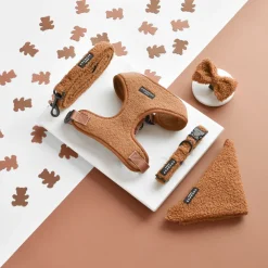Cocopup Bow Ties-Teddy Bow Tie - Paddington