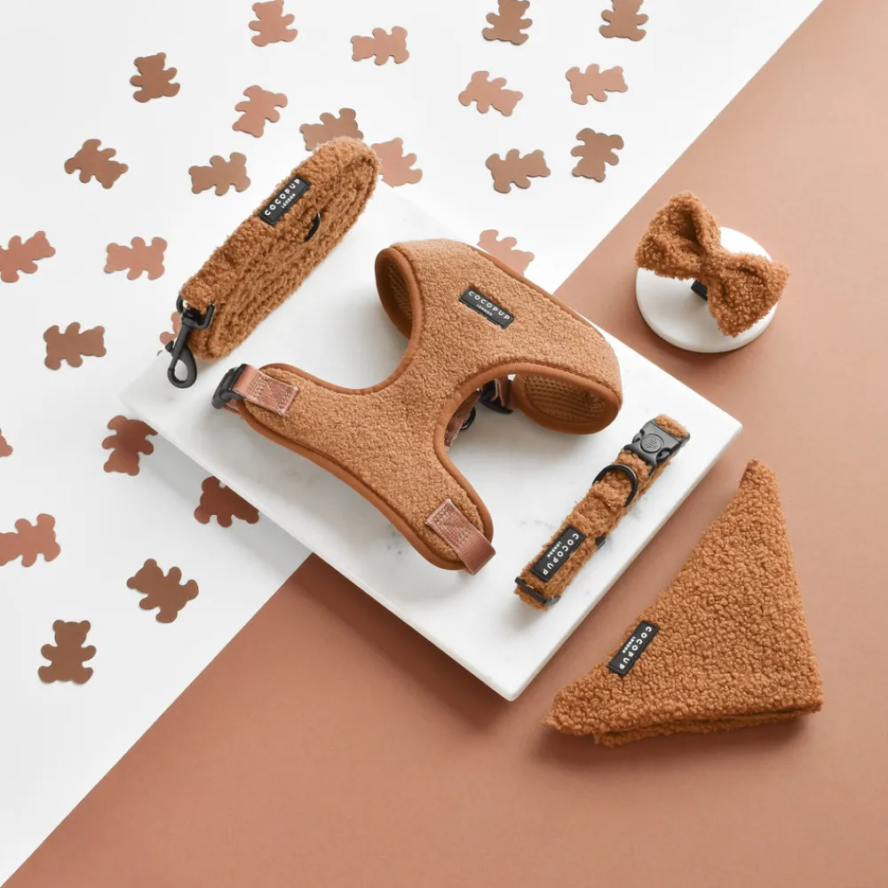 Cocopup Bow Ties-Teddy Bow Tie - Paddington