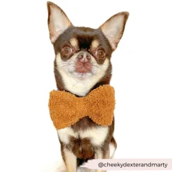 Cocopup Bow Ties-Teddy Bow Tie - Paddington