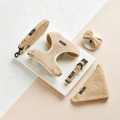 Cocopup Bow Ties-Teddy Bow Tie - Rupert