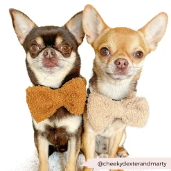 Cocopup Bow Ties-Teddy Bow Tie - Rupert