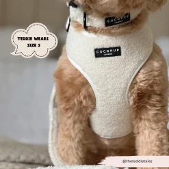 Cocopup Collars | Puppy Leads & Collars-Teddy COLLAR - Dolly