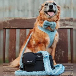 Cocopup Adjustable Harness Bundles-Teddy Daydream Adjustable Neck Harness, Lead & Collar Bundle