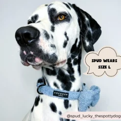 Cocopup Adjustable Harness Bundles-Teddy Daydream Adjustable Neck Harness, Lead & Collar Bundle