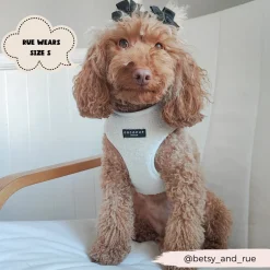 Cocopup Adjustable Harness Bundles-Teddy Dolly Adjustable Neck Harness, Lead & Collar Bundle