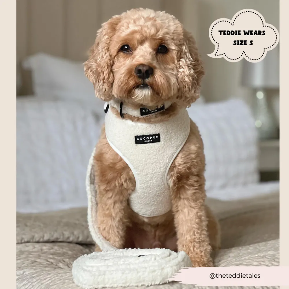 Cocopup Leads-Teddy Lead - Dolly