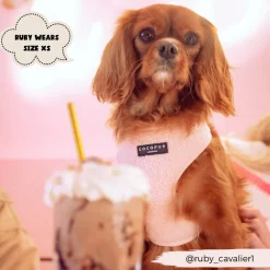 Cocopup Adjustable Harness Bundles-Teddy Love-a-Lot Adjustable Neck Harness, Lead & Collar Bundle
