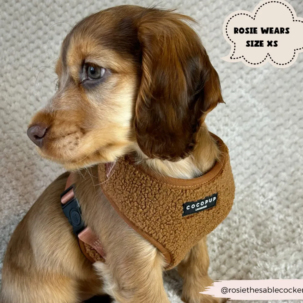 Cocopup Adjustable Harness Bundles-Teddy Paddington Adjustable Neck Harness, Lead & Collar Bundle
