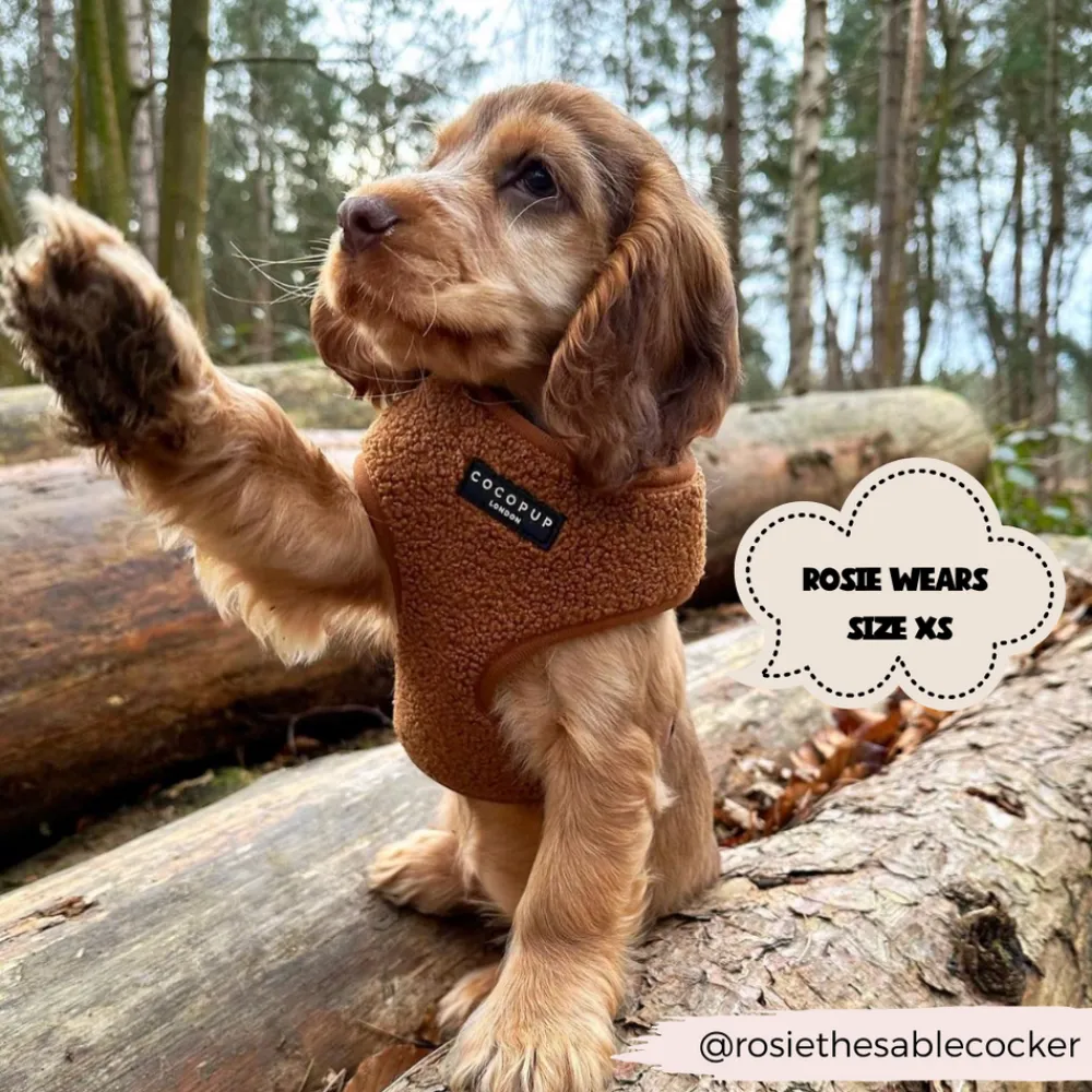 Cocopup Adjustable Harness Bundles-Teddy Paddington Adjustable Neck Harness, Lead & Collar Bundle