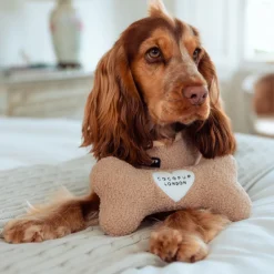 Cocopup Bone Toys 🦴-Teddy Rupert Bone Toy