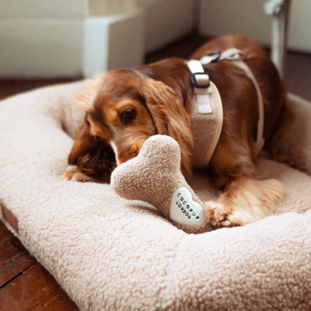 Cocopup Bone Toys 🦴-Teddy Rupert Bone Toy