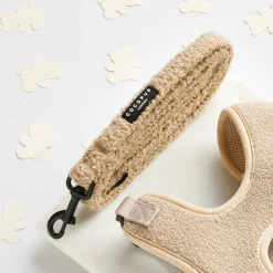 Cocopup Leads | Puppy Leads & Collars-Teddy Rupert Lead - Puppy