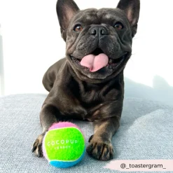 Cocopup Rucksack Accessories | Tennis Balls-Tennis Ball - Bold & Bright
