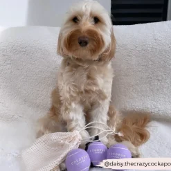 Cocopup Rucksack Accessories | Tennis Balls-Tennis Ball - Lively Lilac
