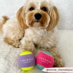 Cocopup Rucksack Accessories | Tennis Balls-Tennis Ball - Pink & Blue