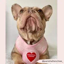 Cocopup Tennis Balls | Tennis Balls ðū-Tennis Ball - Pink & Red Heart