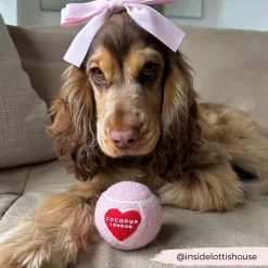 Cocopup Tennis Balls | Tennis Balls ðū-Tennis Ball - Pink & Red Heart