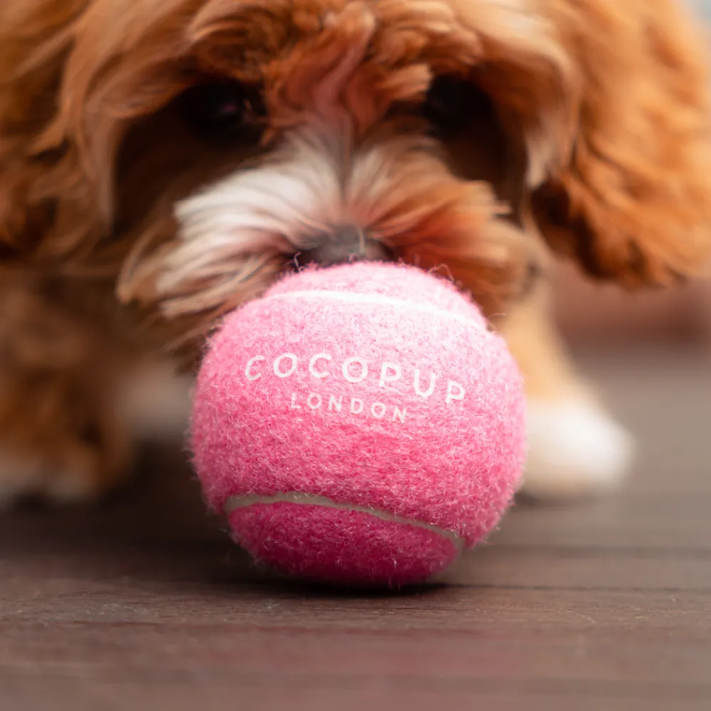 Cocopup Rucksack Accessories | Tennis Balls-Tennis Ball - Playful Pink
