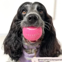 Cocopup Rucksack Accessories | Tennis Balls-Tennis Ball - Playful Pink