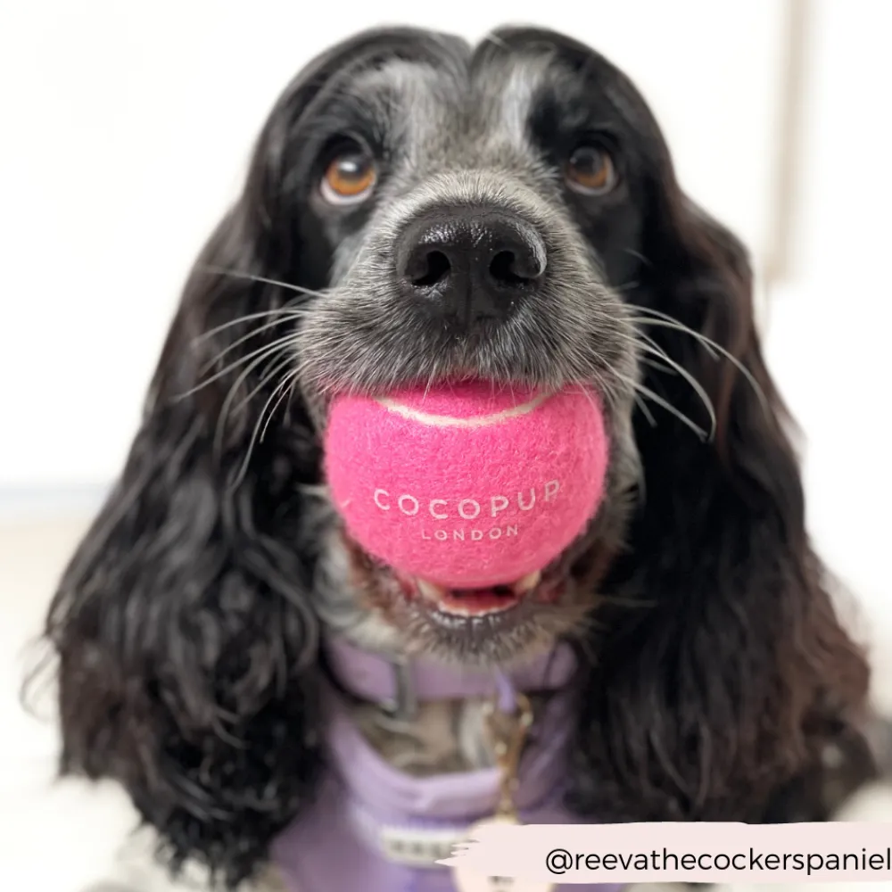 Cocopup Rucksack Accessories | Tennis Balls-Tennis Ball - Playful Pink