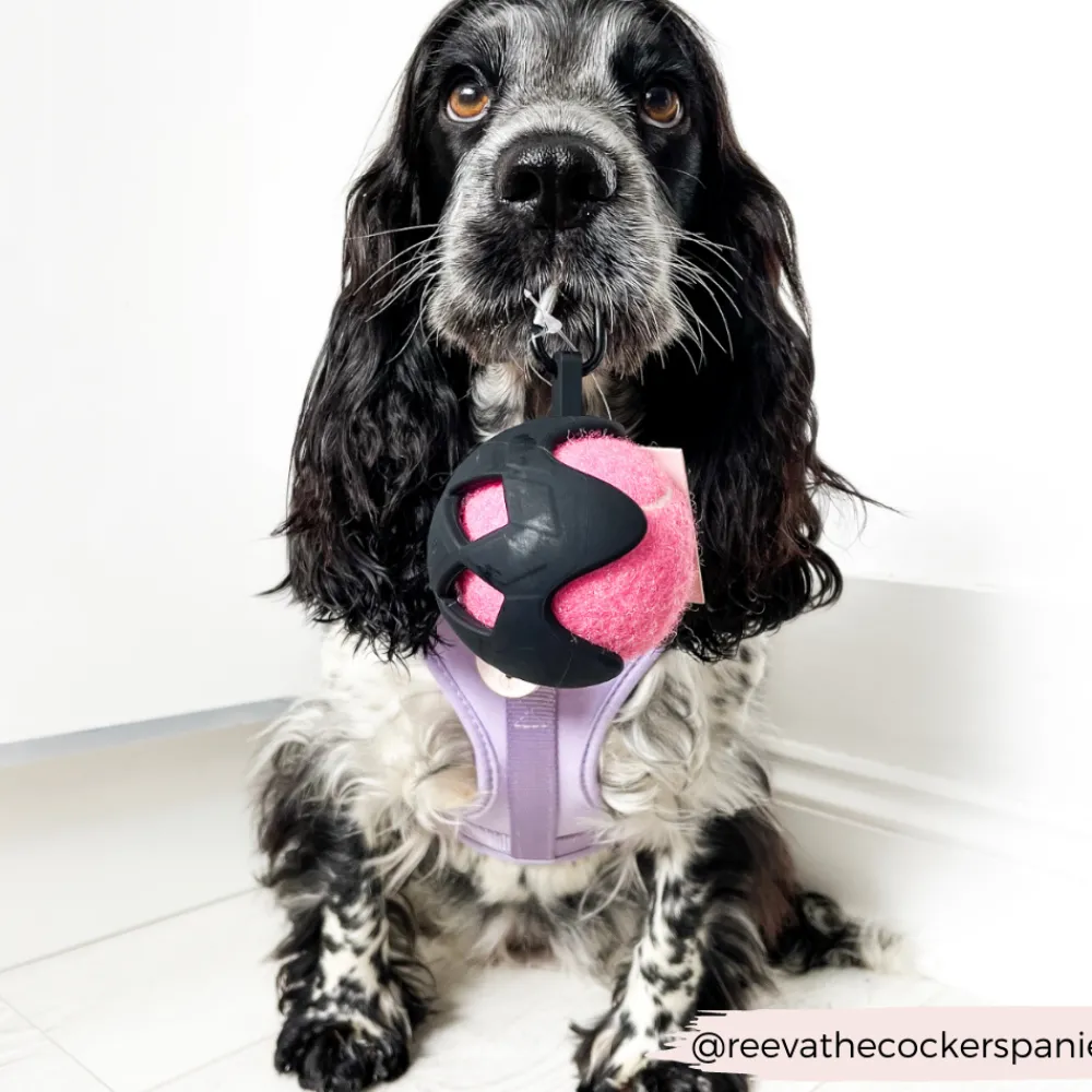 Cocopup Rucksack Accessories | Tennis Balls-Tennis Ball - Playful Pink
