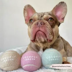 Cocopup Rucksack Accessories | Tennis Balls-Tennis Ball - Strawberry