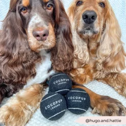 Cocopup Tennis Balls | Tennis Balls 🎾-Tennis Ball BUNDLE - Midnight Black
