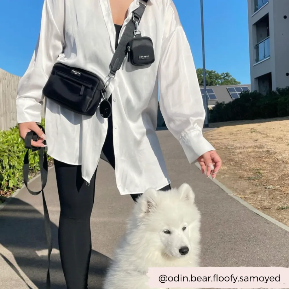 Cocopup Classic Bag Bundles-The Everything Dog Walking Bag Bundle - Black