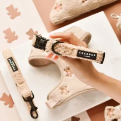 Cocopup Adjustable Harness Bundles-Theo Embroidered Teddy Adjustable Neck Harness, Lead & Collar Bundle