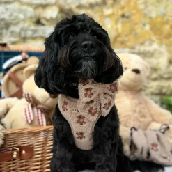 Cocopup Adjustable Neck Harnesses-Theo Embroidered Teddy Adjustable Neck HARNESS