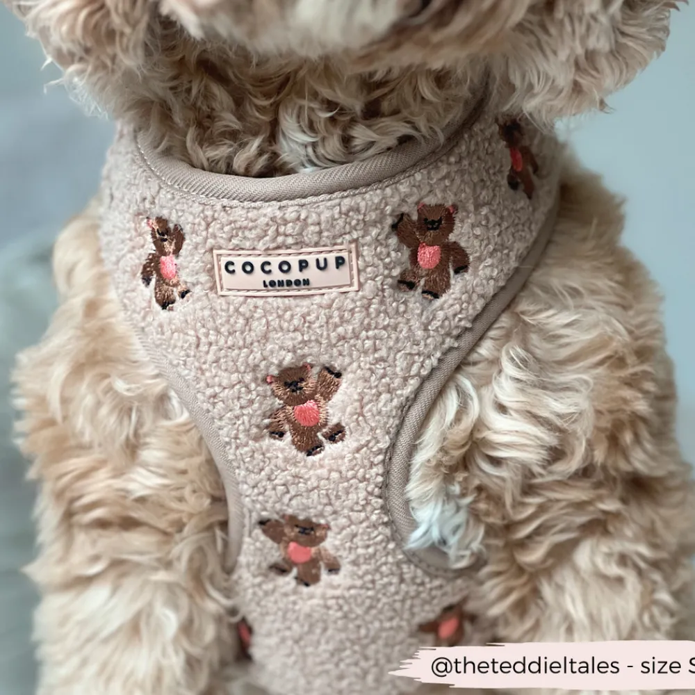 Cocopup Adjustable Harness Bundles-Theo Embroidered Teddy Adjustable Neck Harness, Lead & Collar Bundle