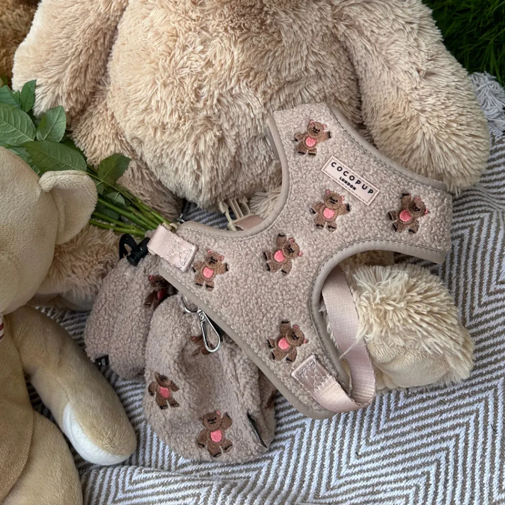 Cocopup Adjustable Harness Bundles-Theo Embroidered Teddy Adjustable Neck Harness, Lead & Collar Bundle