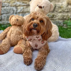 Cocopup Bow Ties-Theo Embroidered Teddy Bow Tie