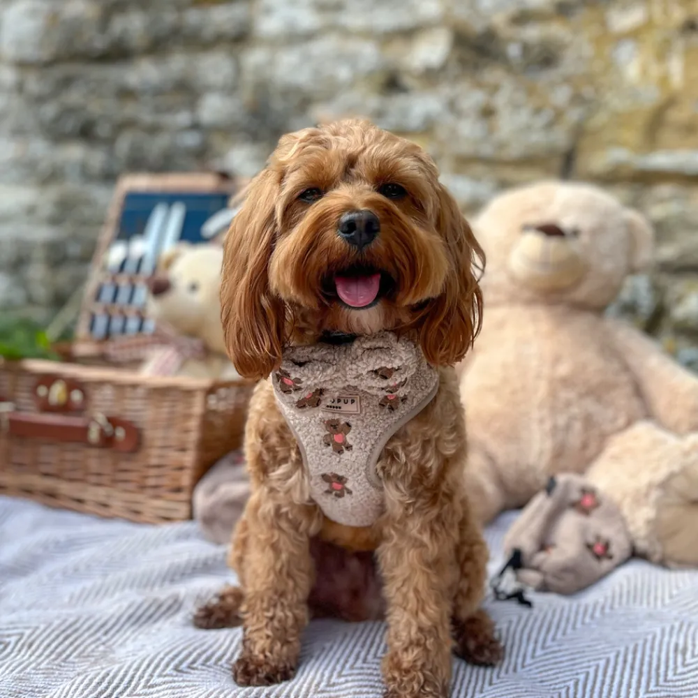 Cocopup Bow Ties-Theo Embroidered Teddy Bow Tie