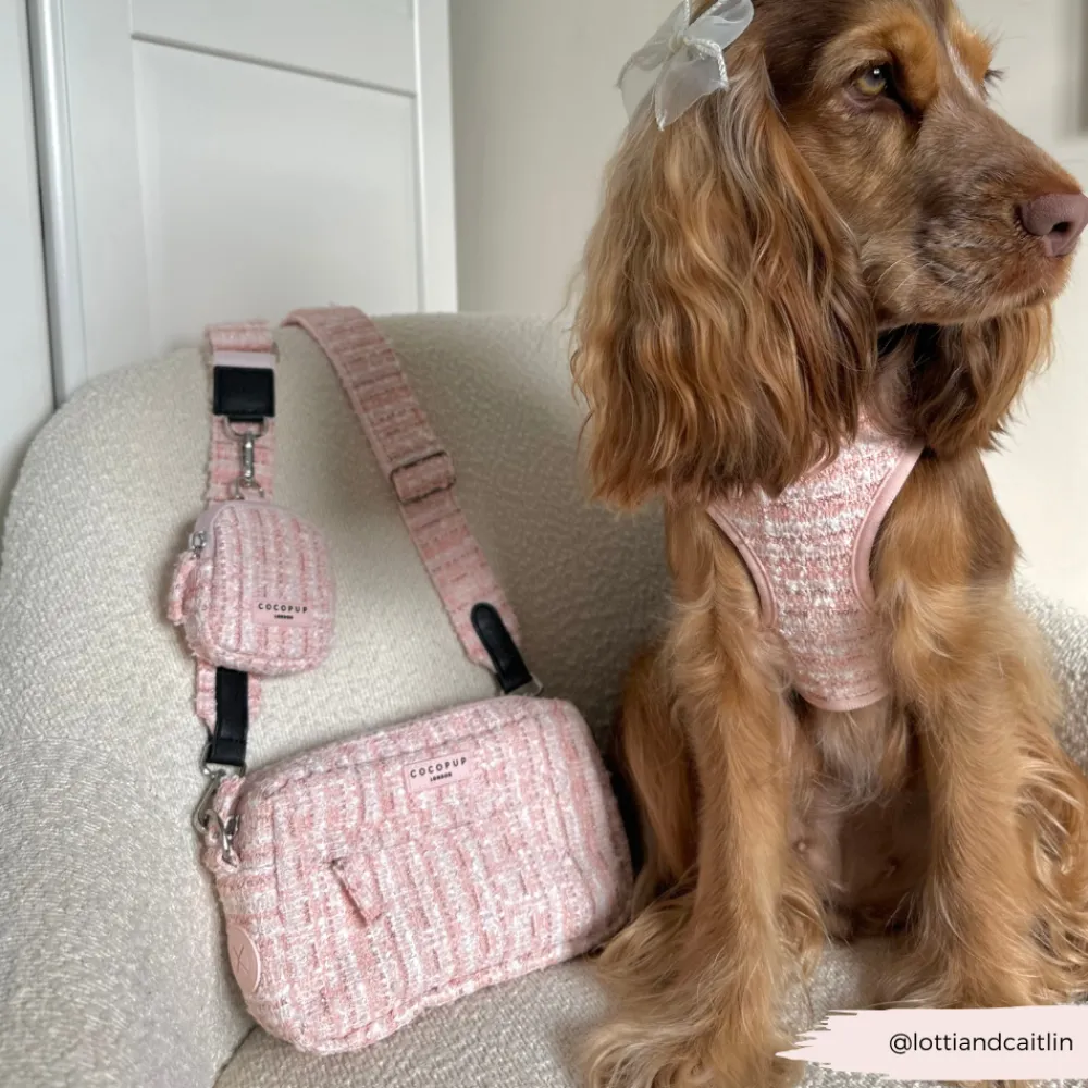 Cocopup Treat Pouches-Treat Pouch - Pink Textured Tweed